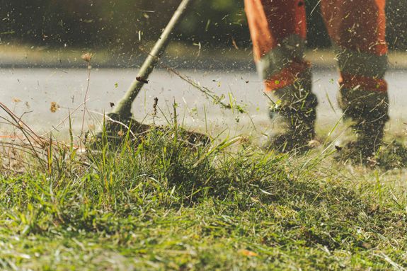 Fertilizing